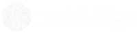 tech-brige-logo